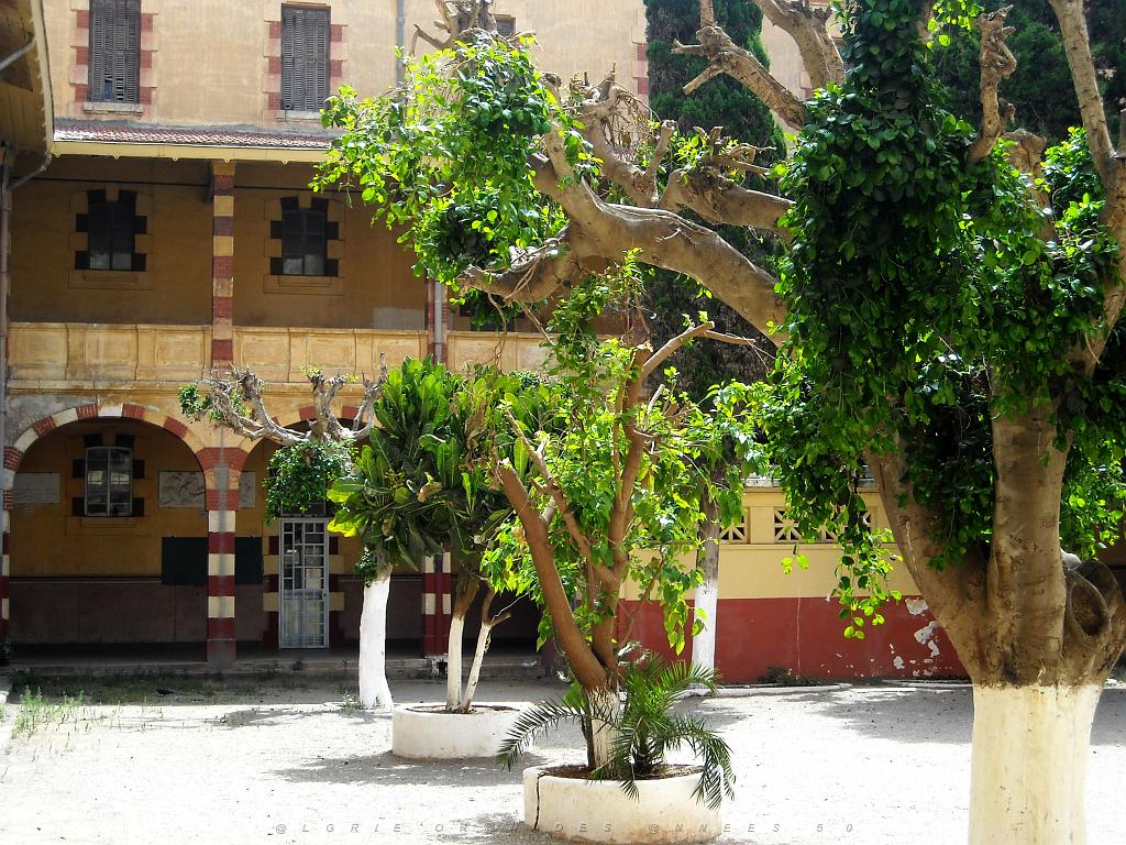 ORAN 2009 JUILLET LYCEE PASTEUR EX LAMORICIERE (10).jpg